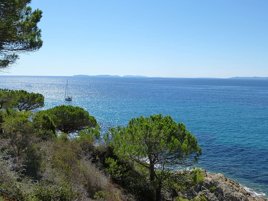 southern france, sea, side, rocks, mediterranean, pine, water, plant, sky, scenics - nature