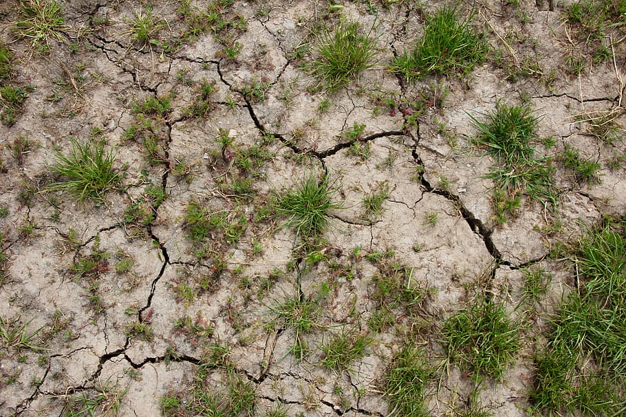 Dry, Earth, Cracks, lack of rain, drought, ground, global warming, dehydrated, devastated, dry soil