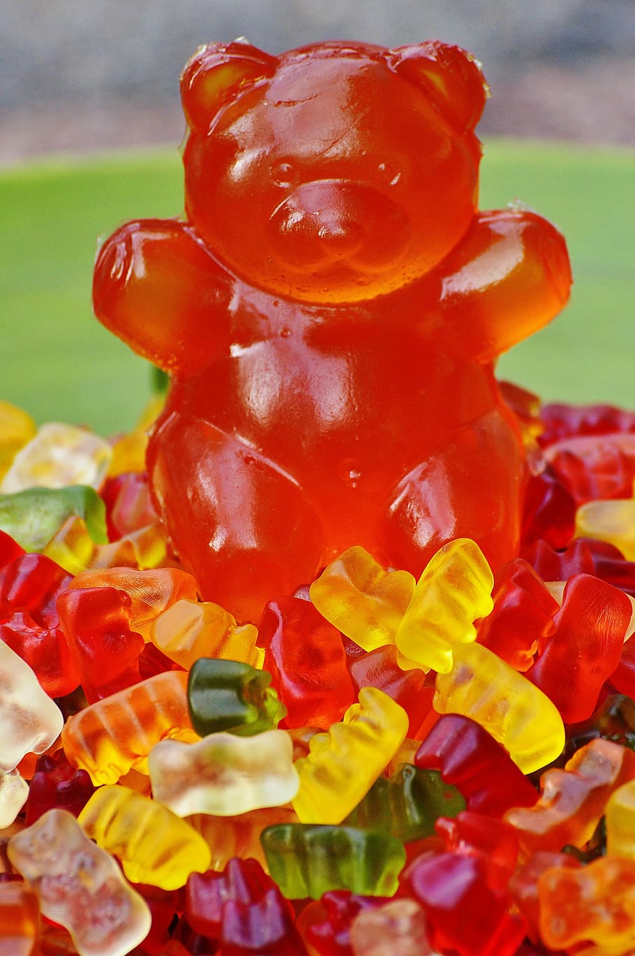 gummibärchen, giant rubber bear, gummibär, fruit gums, bear, delicious, color, colorful, sweetness, gummi bears
