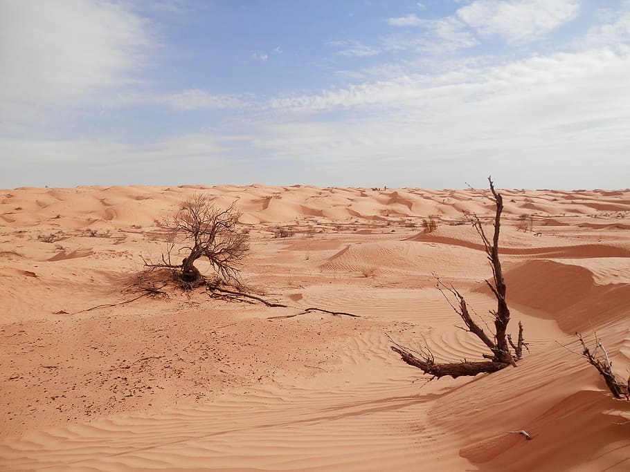 sahara, desert, tunisia, scenics - nature, climate, sky, arid climate, tranquil scene, sand, tranquility