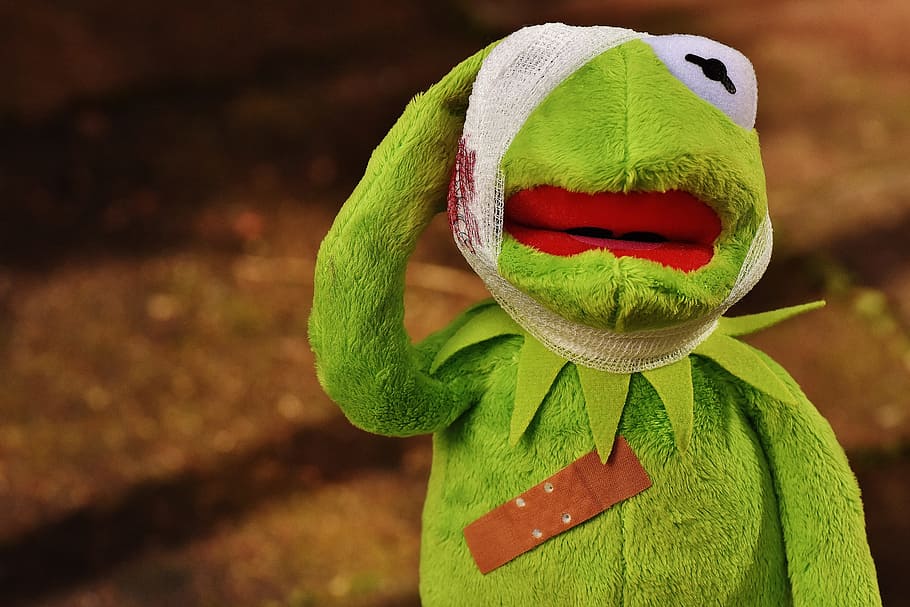 injured, kermit, frog, first aid, association, blood, funny, soft toy, toys, animal