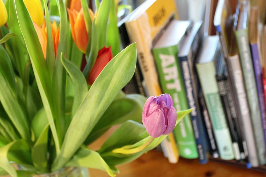 tulips, spring, bulbs, flowers, colourful, books, art books, vase, nature, floral