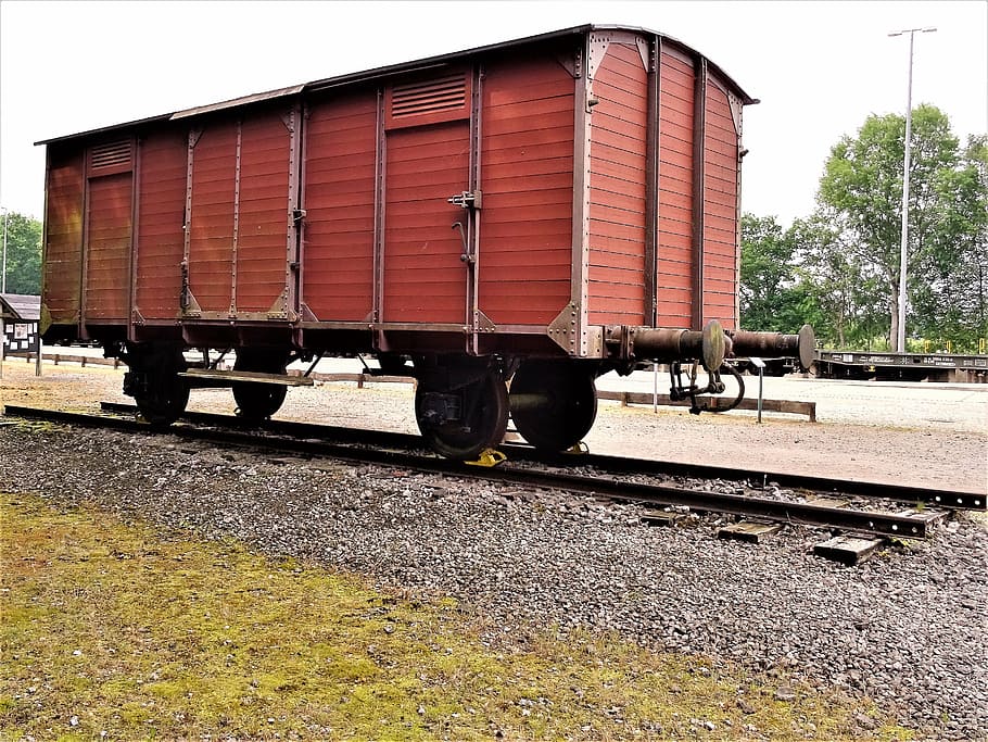 bergen-belsen, wagon, train, holocaust, freight train, old, goods wagon, prisoners, commemorate, rail transportation