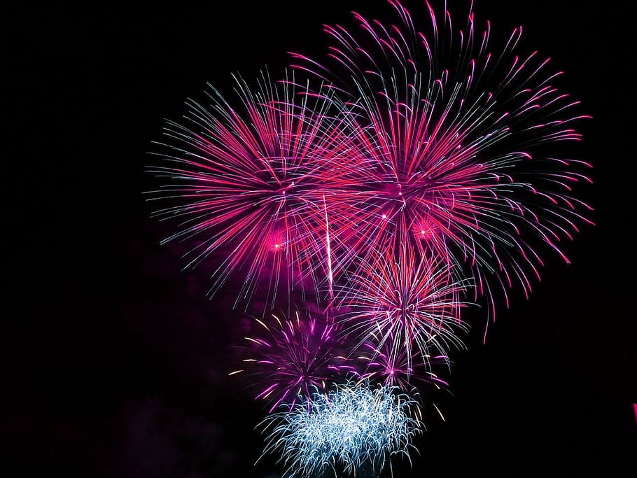 purple, white, fireworks, celebration, bright, pink, explosive, celebrate, display, july 4th