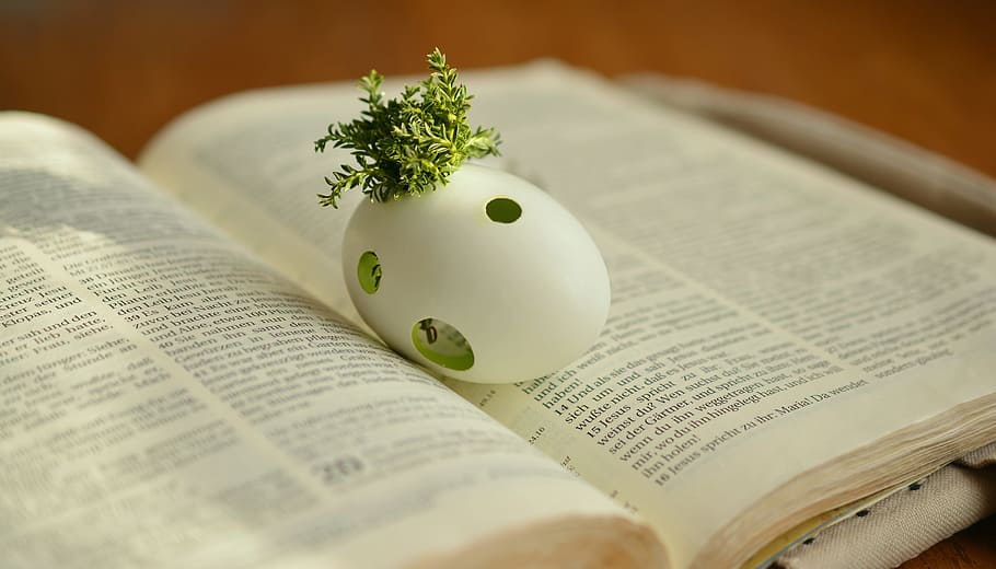 white, egg shell, green, leaves, book, green leaves, easter, resurrection, bible, jesus