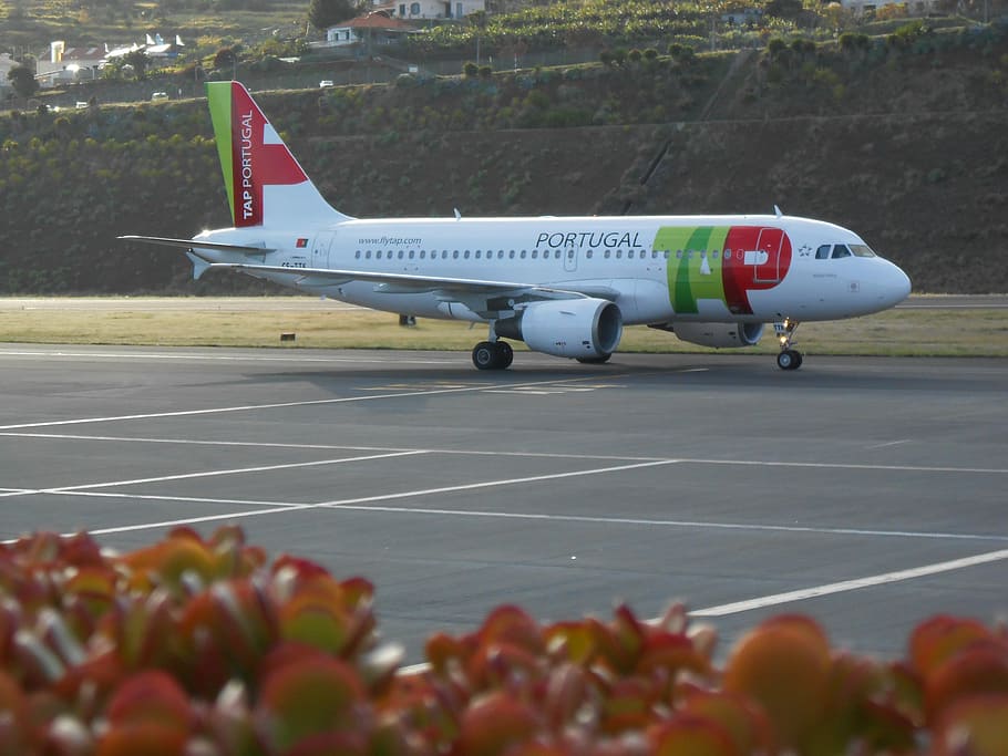 miguel toga, airport, timber airport, wood, santa cruz, plane, tap, tap portugal, airplane, air vehicle