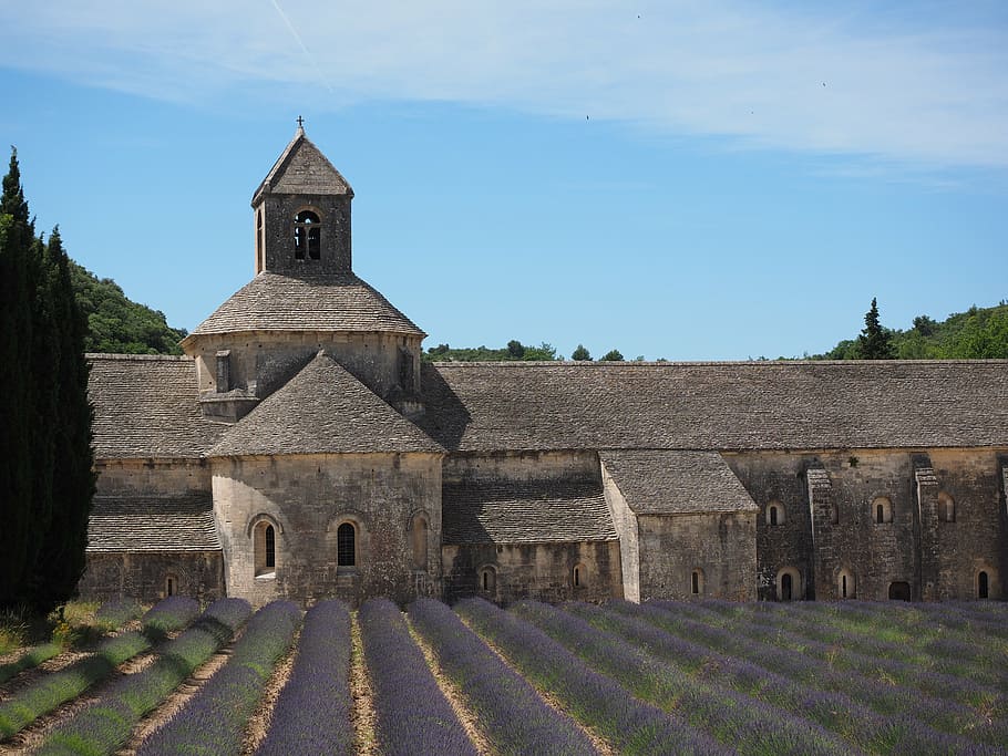 abbaye de sénanque, monastery, abbey, notre dame de sénanque, the order of cistercians, gordes, vaucluse, france, cistercian monks, sénanque abbey