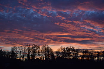 Pink Dimension Forest Sunset Sky Trees Landscape Blue Sky View Region Pxfuel