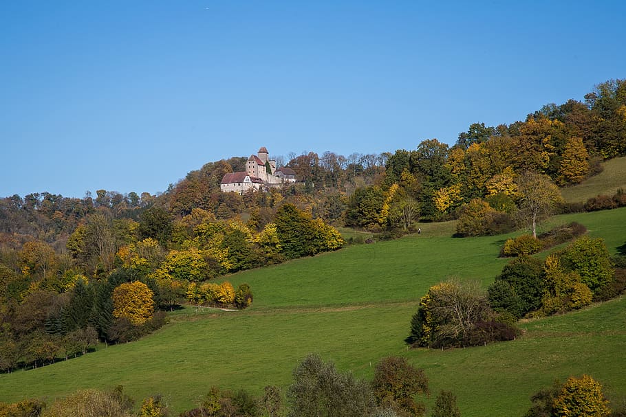 castillo pet mountain, künzelsau, iglesias de piedra, casa de hohenstaufen, castillo, fortaleza, kocher, el valle de kocher, árbol, planta