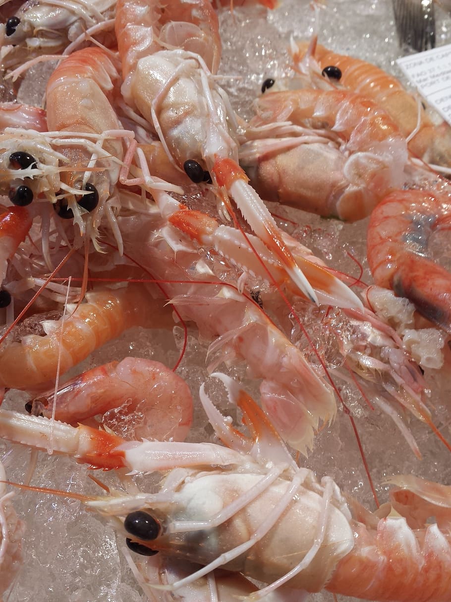 crayfish, dénia, seafood, paella, food, spanish food, spain, food and drink, freshness, for sale