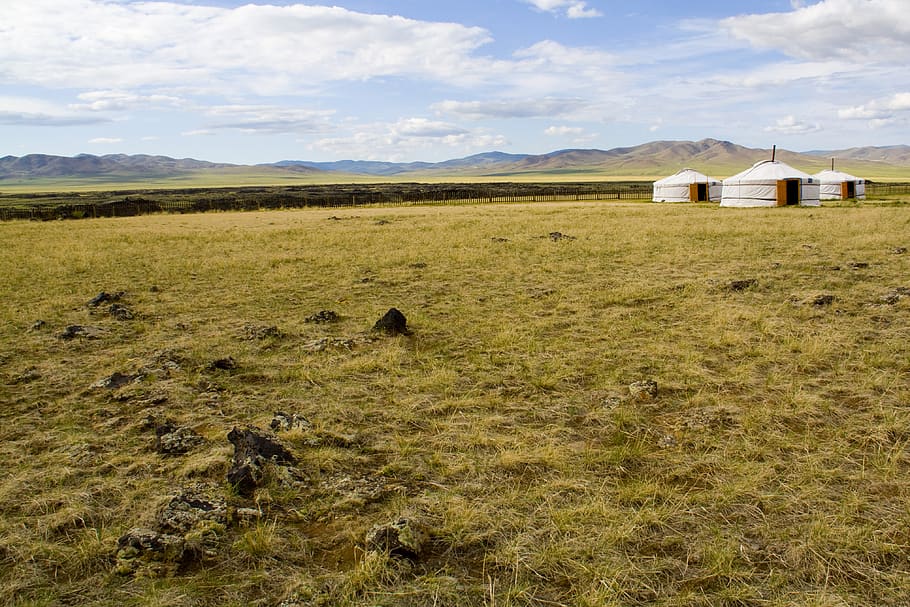 mongolia, gobi, yurt, landscape, barren, desert, travel, steppe, nomadic, land