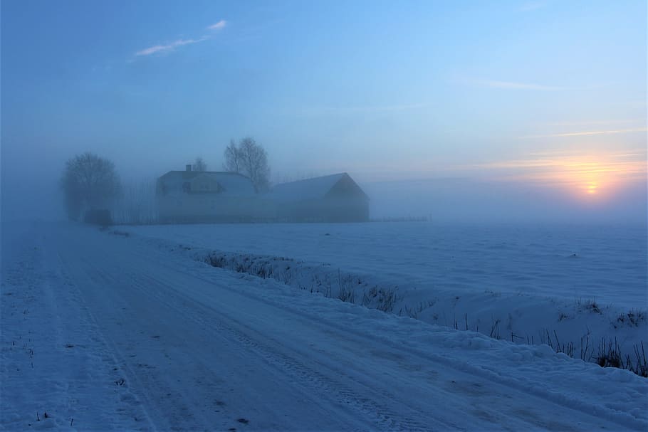 霧, かすんでいる, 冬, 雪, 霜, 自然, 氷, 日没, 寒さ, 風景
