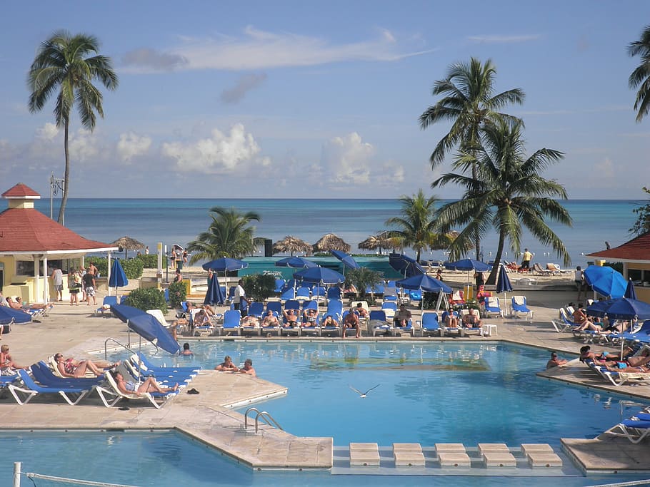 orang-orang, berbaring, bersantai, di samping, berenang, kolam renang, hotel, laut, pantai, bahama