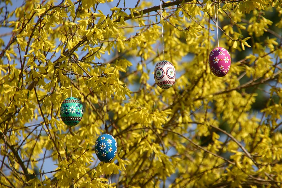 easter bouquet, easter, easter theme, easter egg, easter branch, plant, tree, focus on foreground, branch, nature