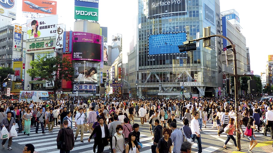 grup, orang-orang, berjalan, jalan, jepang, tokyo, shibuya, bangunan, kerumunan, belanja