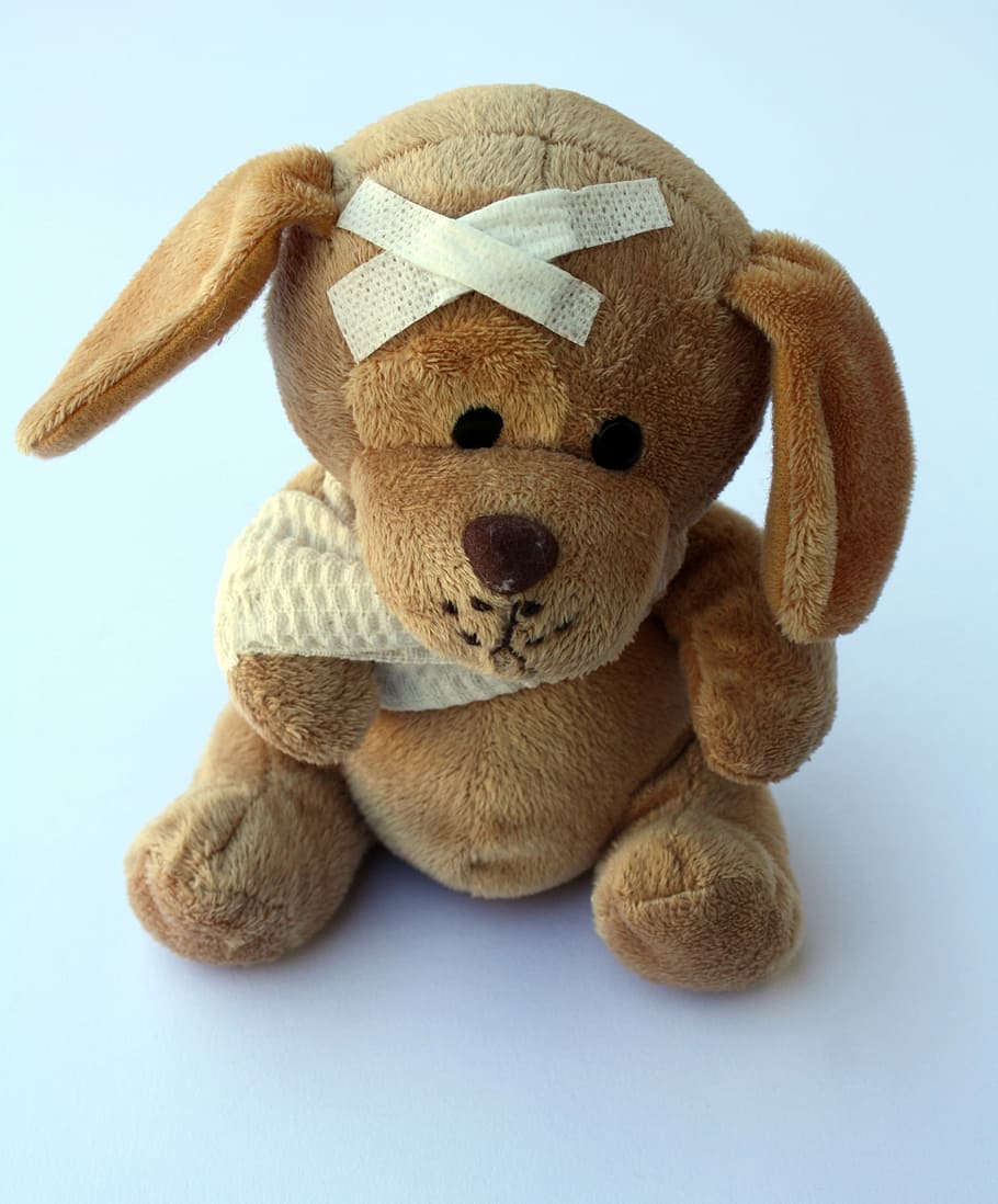 brown, teddy, bear, bandage, dog, stuffed animal, ill, injured, fever, broken
