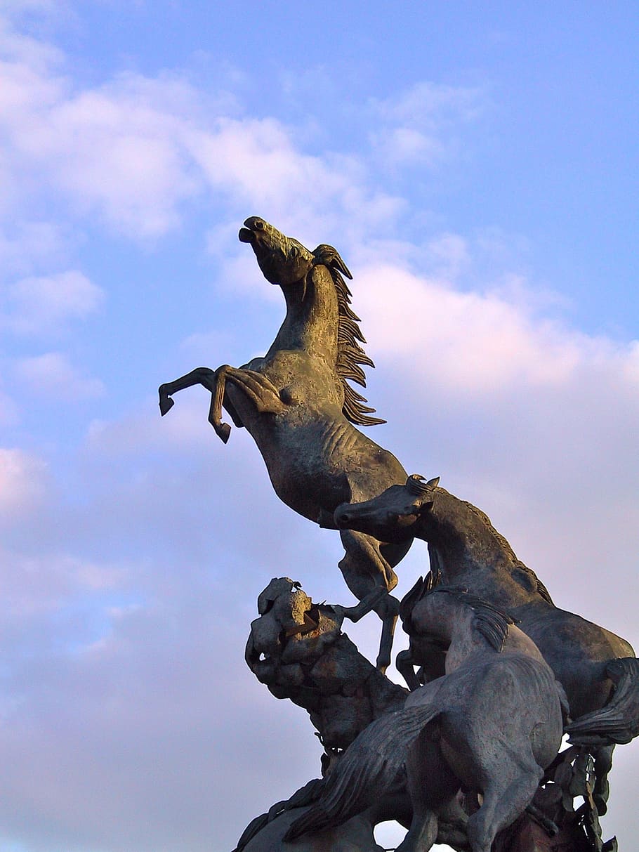 monumen untuk kuda in vigo, kuda, perunggu, momentum, kekuatan, langit, sudut pandang rendah, awan - langit, patung, burung