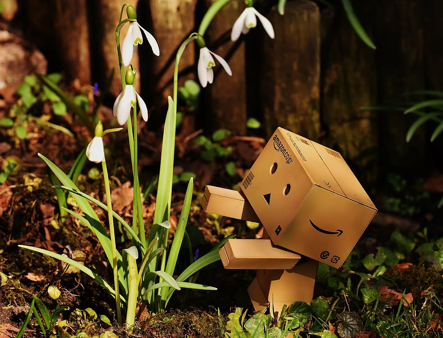 white, snowdrop flowers, brown, amazon cardboard robot, harbinger of spring, snowdrop, flower, danbo, funny, cute