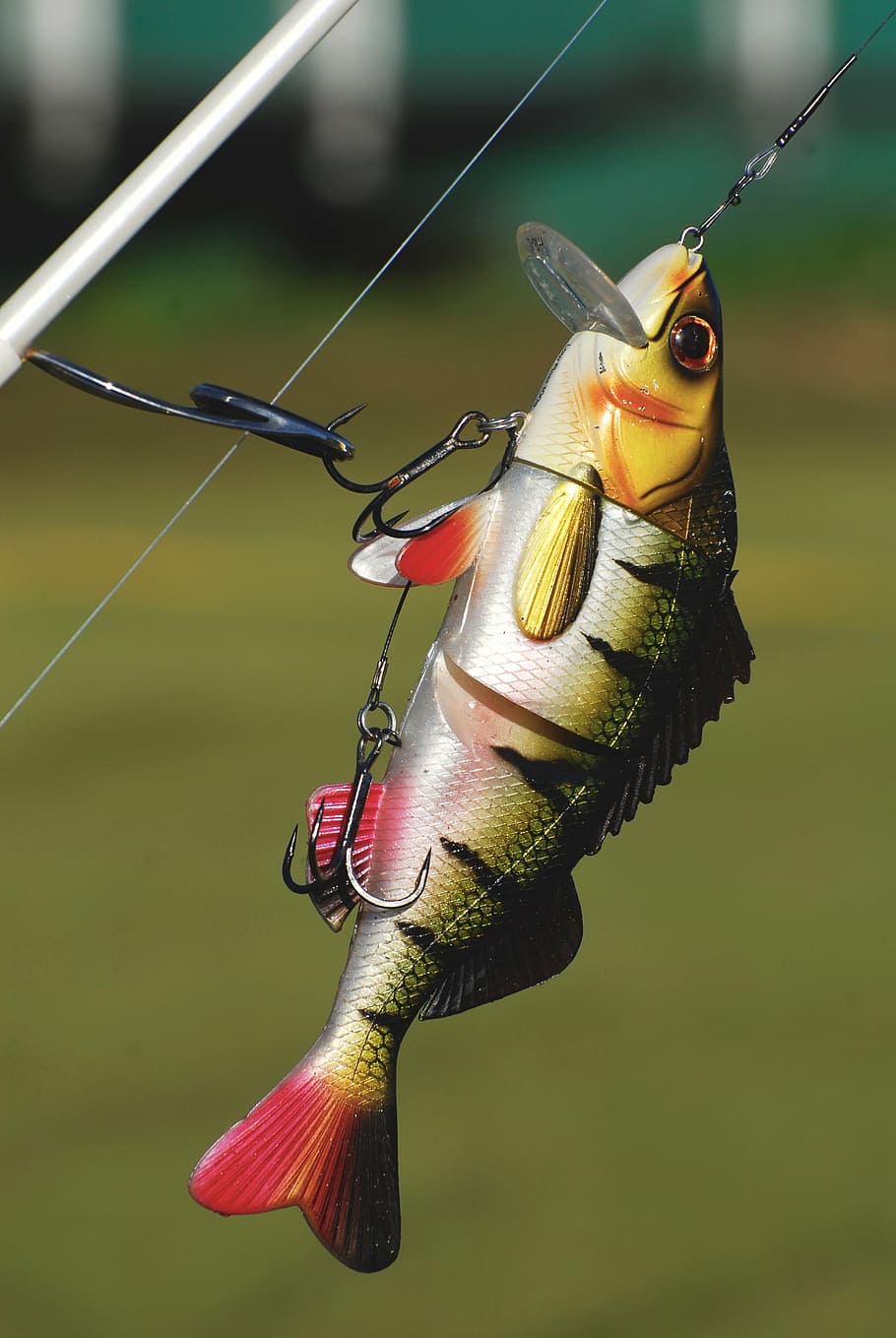 closeup, green, yellow, fishing, lure, angling, tackle, freshwater, hook, fisherman