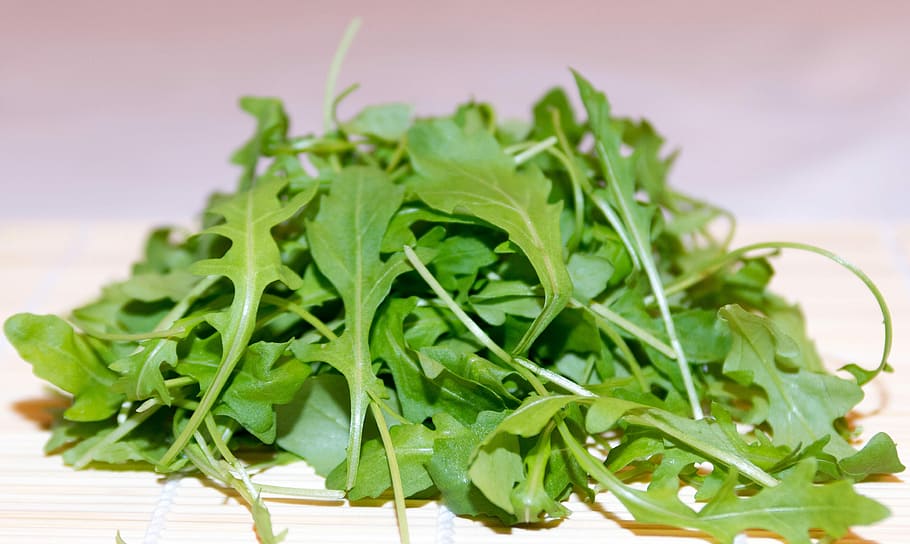 pile, green, leaves, Rocket, Plant, Salad, Frisch, herbs, food and drink, healthy eating