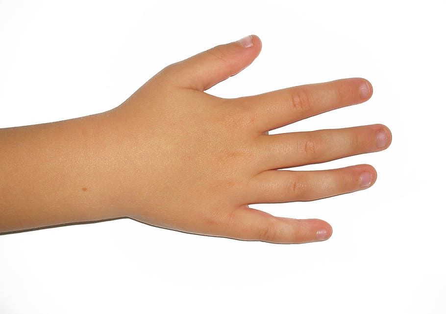 left human hand, Hand, Right, Child, Fingers, Nails, right, child, human, fair, human body part