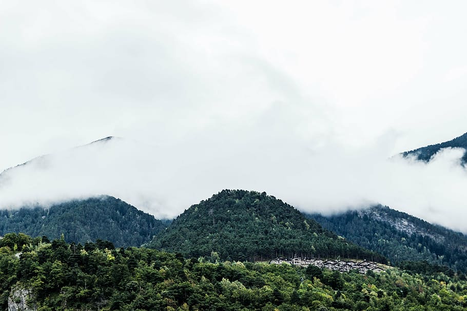 lush, forest, white, clouds, green, trees, rocky, mountains, covered, fogs