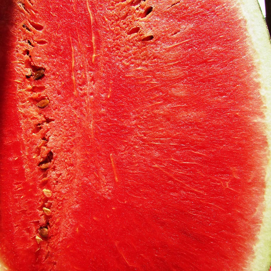 watermelon, melon, citrullus lanatus, red, fruit, summer, juicy, seeds, india, close-up