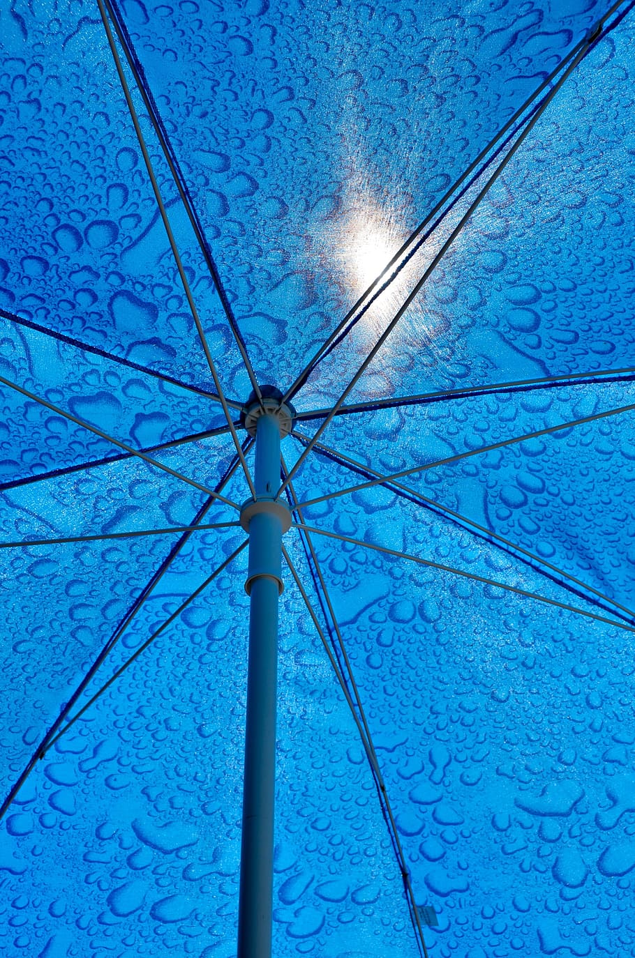 screen, frame, sun protection, parasol, covering, market umbrella, sun, protection, summer, sunlight