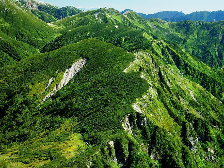 foto de vista superior da montanha florestal, topo, vista, montanha da floresta, foto, japão, paisagem, montanhas, natureza, fora