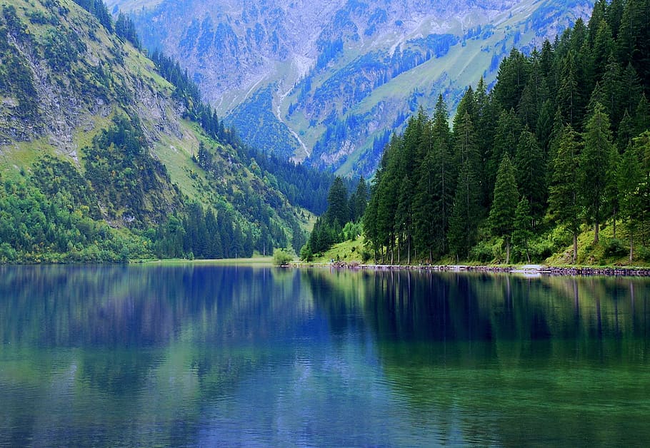 lake, surrounded, forest, mountain, vilsalpsee, austria, tannheim, alpine, mountains, bergsee