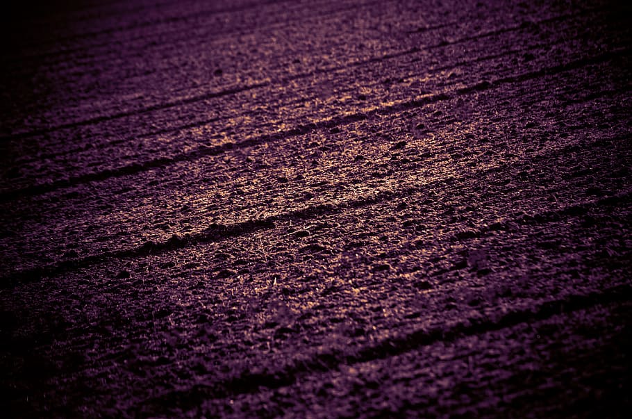 field, acreage, abstract, digital art, texture, background, art, pattern, fantasy, colorful
