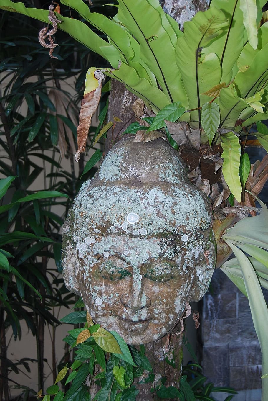 buda, bali, sculpture, garden, human representation, leaf, representation, plant part, art and craft, plant