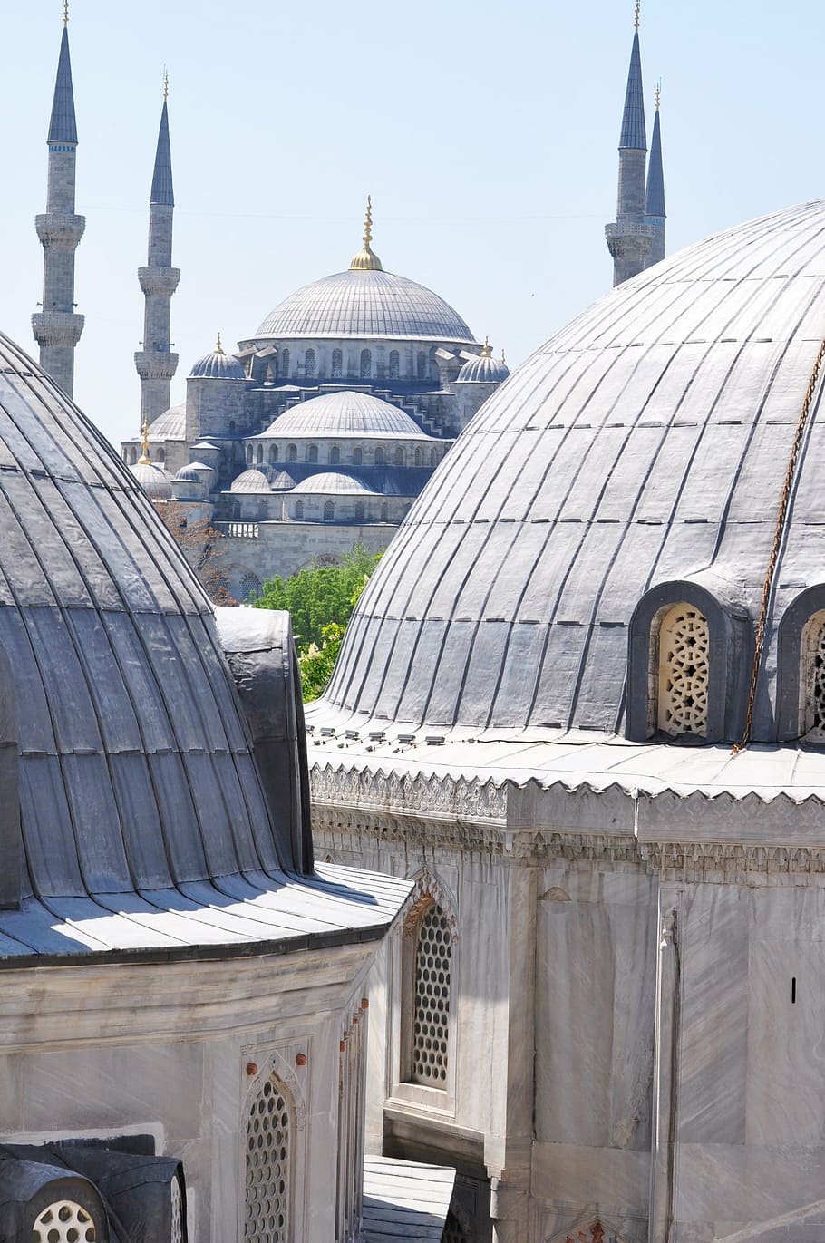 taj mahal, blue mosque, istanbul, turkey, mosque, architecture, monument, religious monuments, blue, roofs