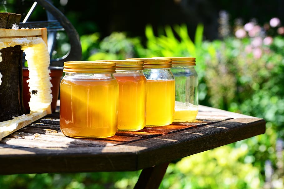 four, clear, glass mason jars, table, honey, jars, harvest, bees, frame, garden