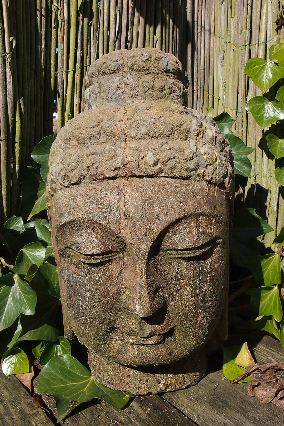 buddha, meditation, rest, harmony, faith, figure, bust, stone, ivy, sun