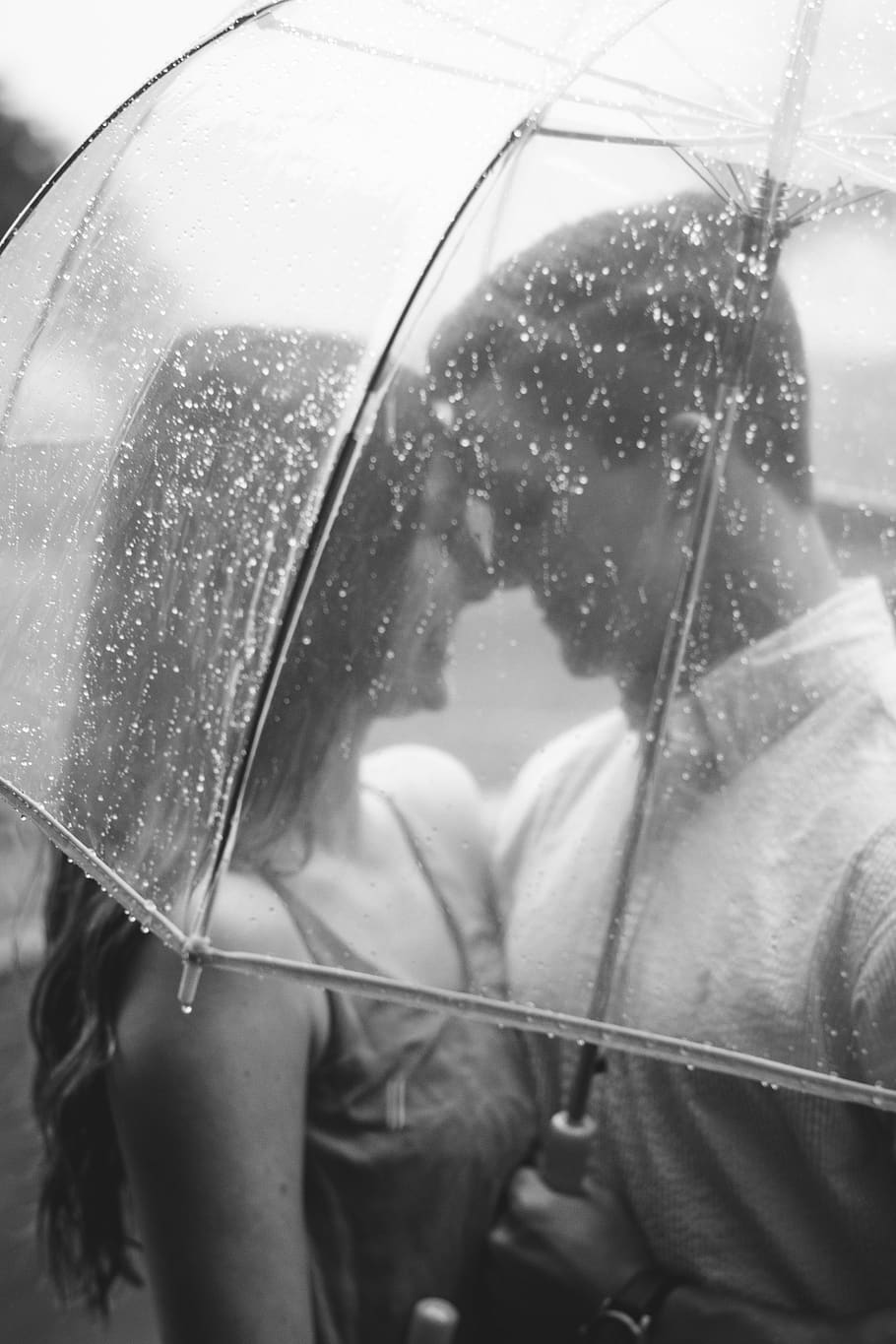 casal, amor, romance, garota, cara, guarda-chuva, chovendo, molhado, preto e branco, pessoas