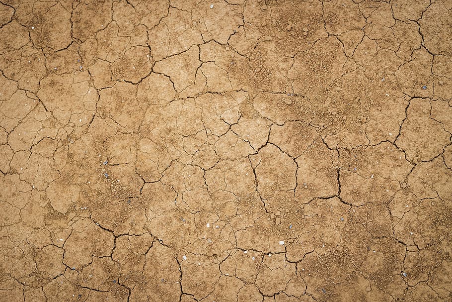 трещина, сушка, земля, почва, пустыня, трещины, фоны, климат, текстурированные, засуха
