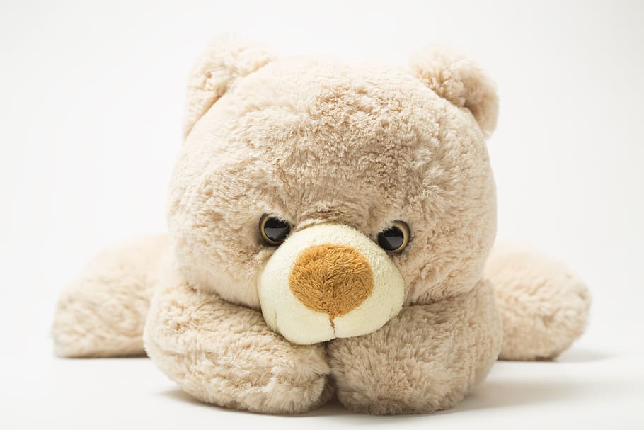 beige, bear, plush, toy, children, gifts, teddy Bear, fluffy, cute, softness
