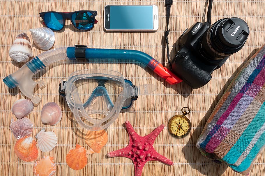 black, canon dslr camera, diving, nozzle, goggles, silver samsung android smartphone, seashells, Holiday, Travel, Fun