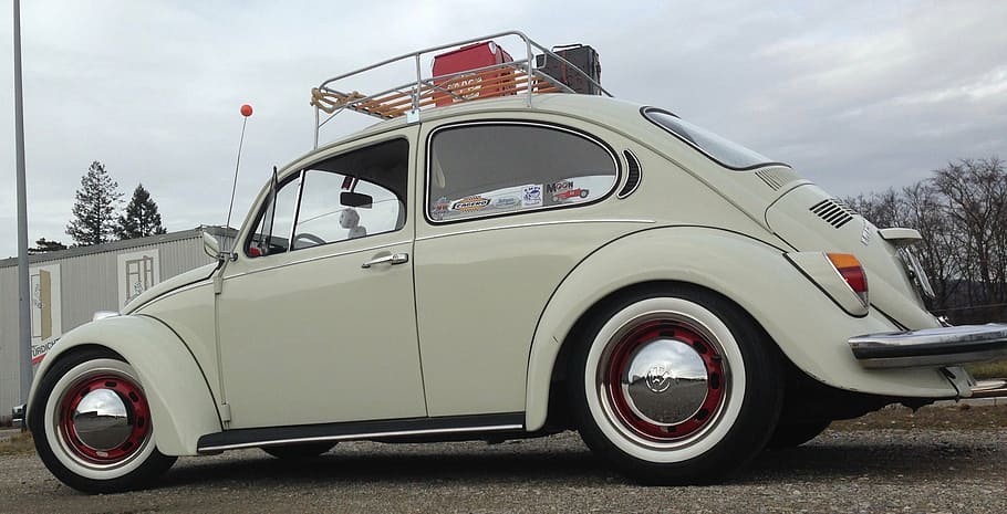 Vw Beetle Auto Oldtimer Vehicle Volkswagen Vw Beetle Automotive Old Dare Pxfuel