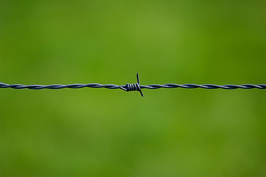 gray barb wire, wire, security, thorn, close, fence, green, tiefenschärfe, demarcation, limit