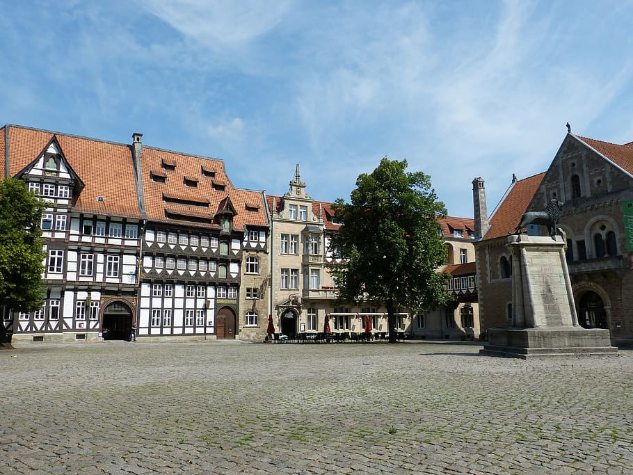 green, leafed, tree, concrete, building, braunschweig, historically, old town, truss, lower saxony