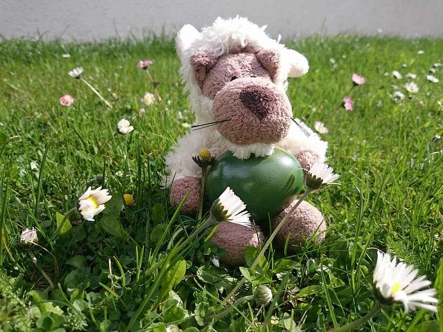 Easter, Spring, Wolf, Sheepskin, happychapi, grass, toy, stuffed toy, green color, teddy bear