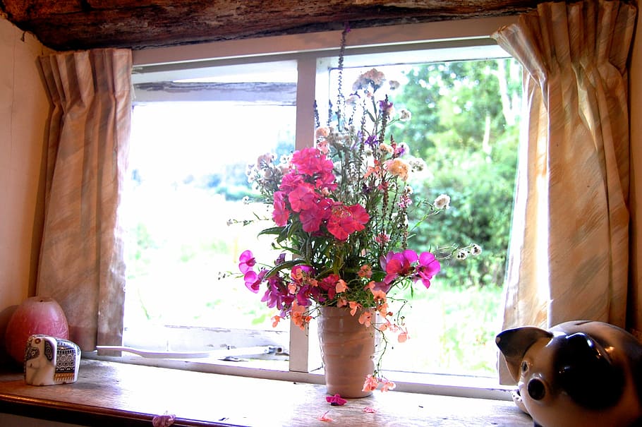 Flores, Vaso, Janela, Estável, Flor, casa, dentro de casa, olhando pela janela, cortina, dia