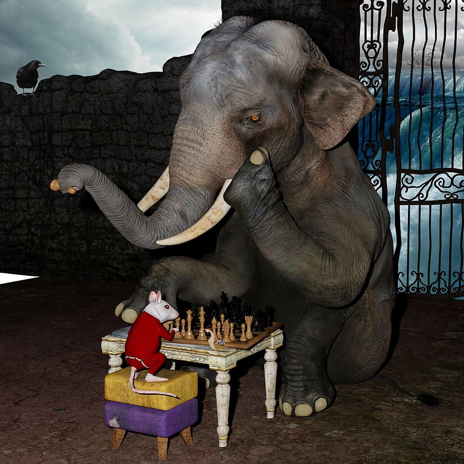 photography, gray, elephant, playing, chess, white, mouse, play chess, snail, fantasy
