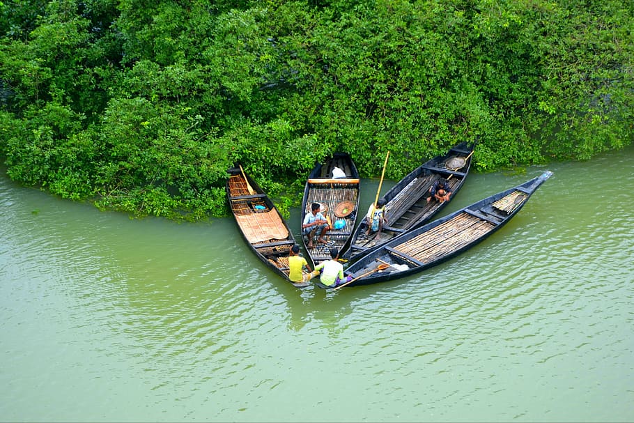 four, brown, wooden, canoes, floating, water, green, leafed, plants, natural