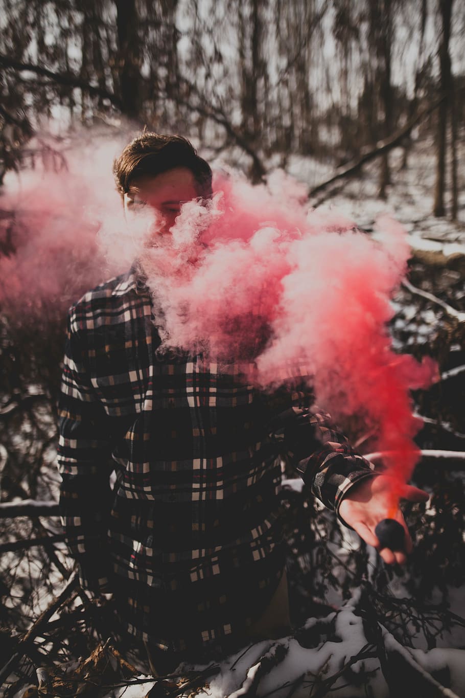 selective, focused, man, pink, smoke photo, trees, plant, nature, forest, wood