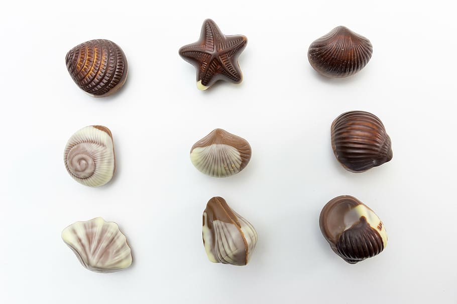 nove conchas marrons, figuras, confeitaria, chocolate, doce, europa, chocolates, grupo de objetos, concha, molusco