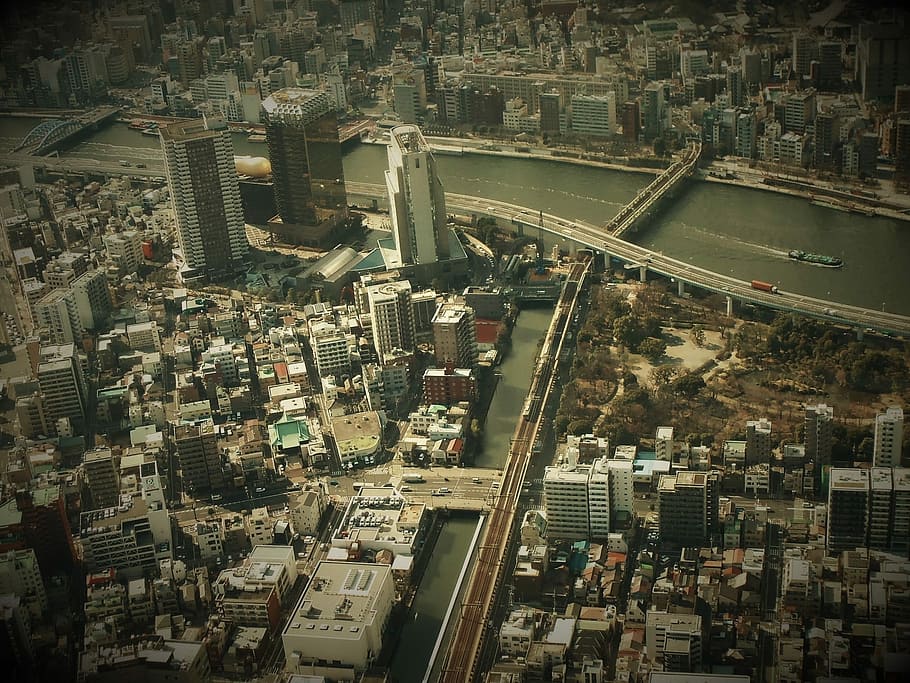 Tokyo, Japan, City, Tourism, Bridge, tokyo, japan, building, houses, aerial view, nipon