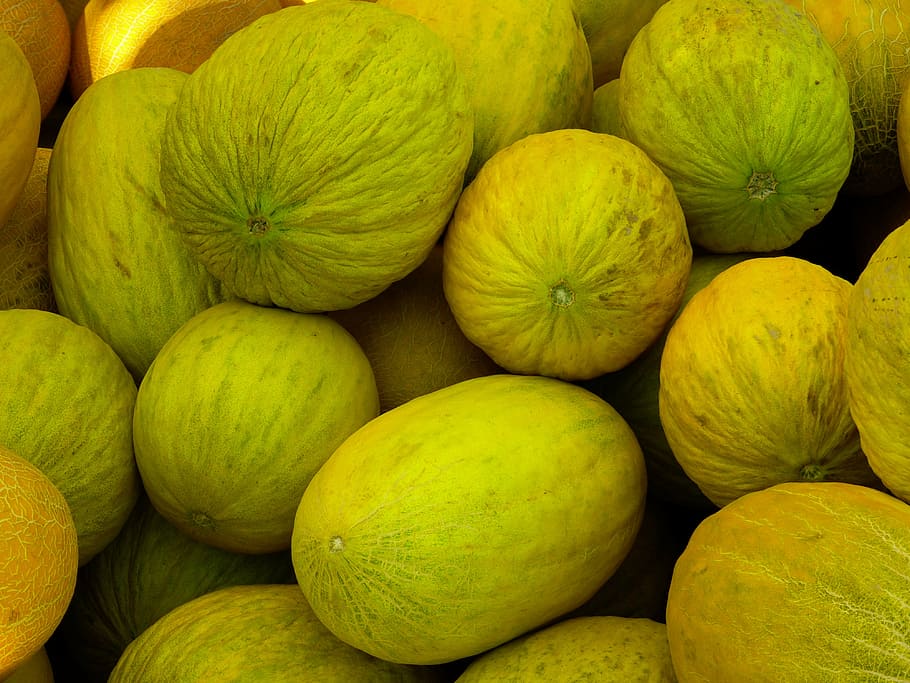 melons, honeydew melons, eating fruit, yellow, healthy eating, food and drink, food, wellbeing, freshness, fruit